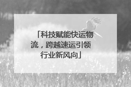科技赋能快运物流，跨越速运引领行业新风向